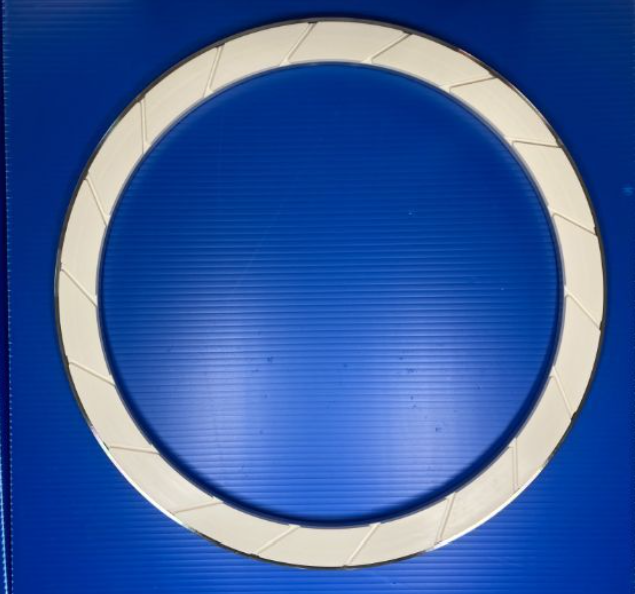 AMAT, 300mm, CMP Retaining Rings